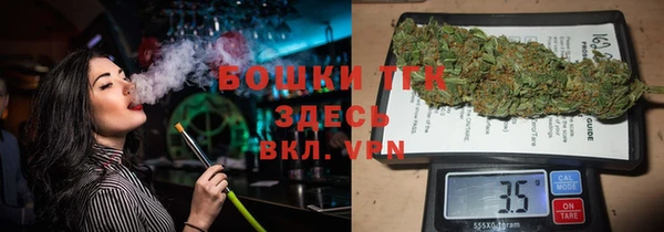 молекула духа Гусиноозёрск