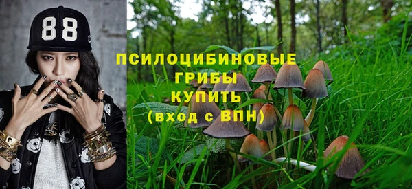 молекула духа Гусиноозёрск