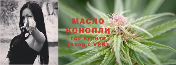 молекула духа Гусиноозёрск