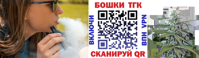 Бошки Шишки план  Онега 